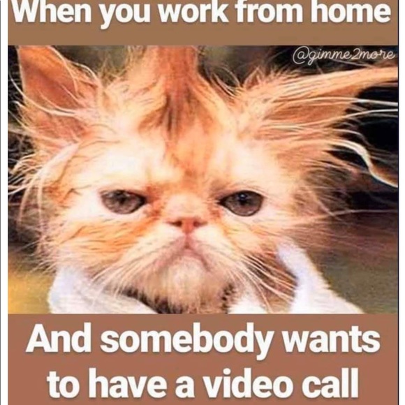 Meet your Posher, Kim maree - Picture 1 of 5